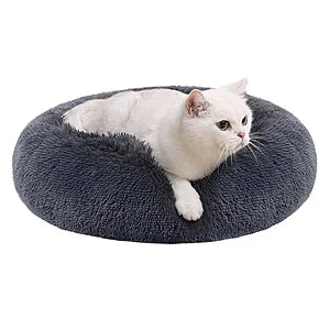 cats and dogs furniture and accessories