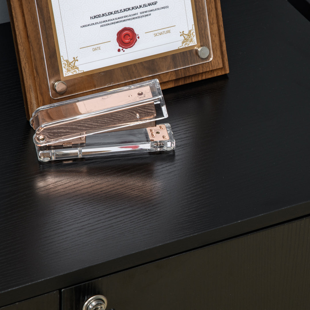 Vinsetto 2-Tier Locking Office Storage Cabinet File Organisation w/ Feet Melamine Coating Aluminium Handles 2 Keys Stylish Black