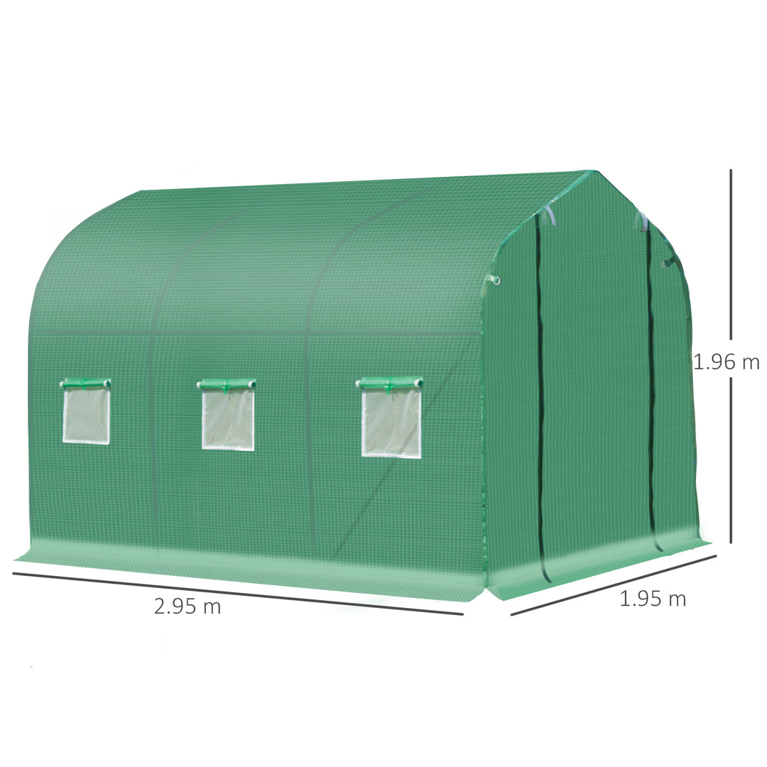 Walk in Polytunnel Greenhouse with Windows and Door for Garden, Backyard (3 x 2M)