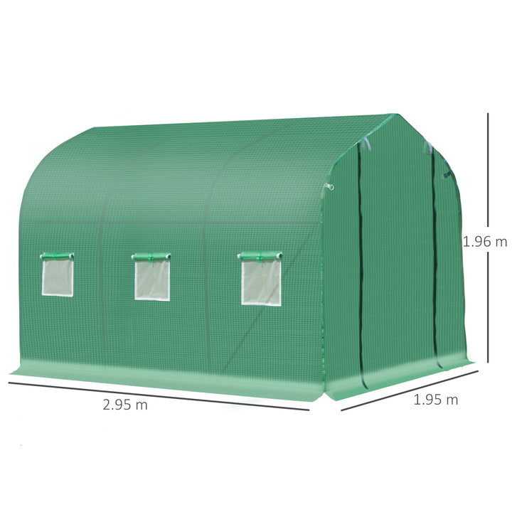 Walk in Polytunnel Greenhouse with Windows and Door for Garden, Backyard (3 x 2M)