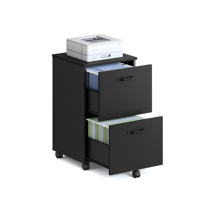 2-Drawer Filing Cabinet Matte Black