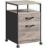 Mobile Office File Cabinet