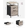 Mobile Office File Cabinet