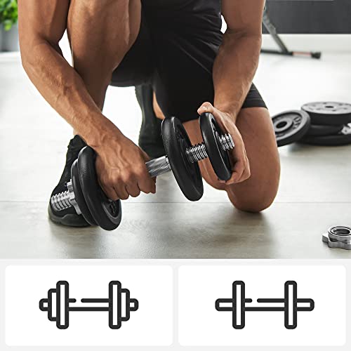 Cast Iron Dumbbell