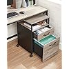 Mobile Office File Cabinet