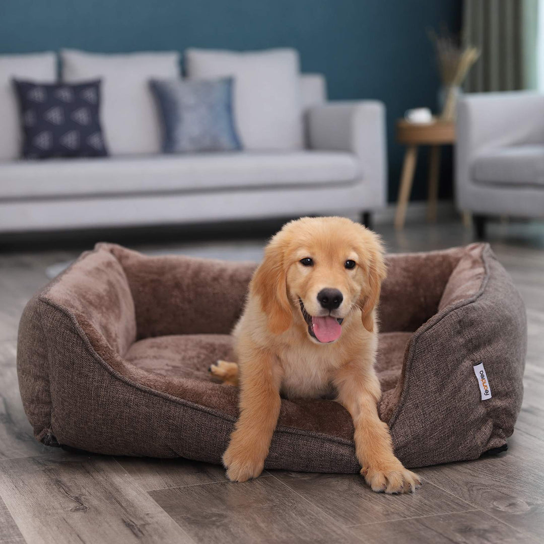 Brown Dog Sofa Bed