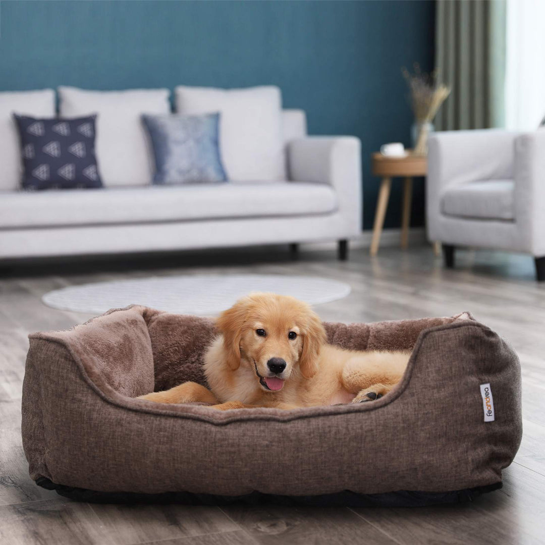Brown Dog Sofa Bed