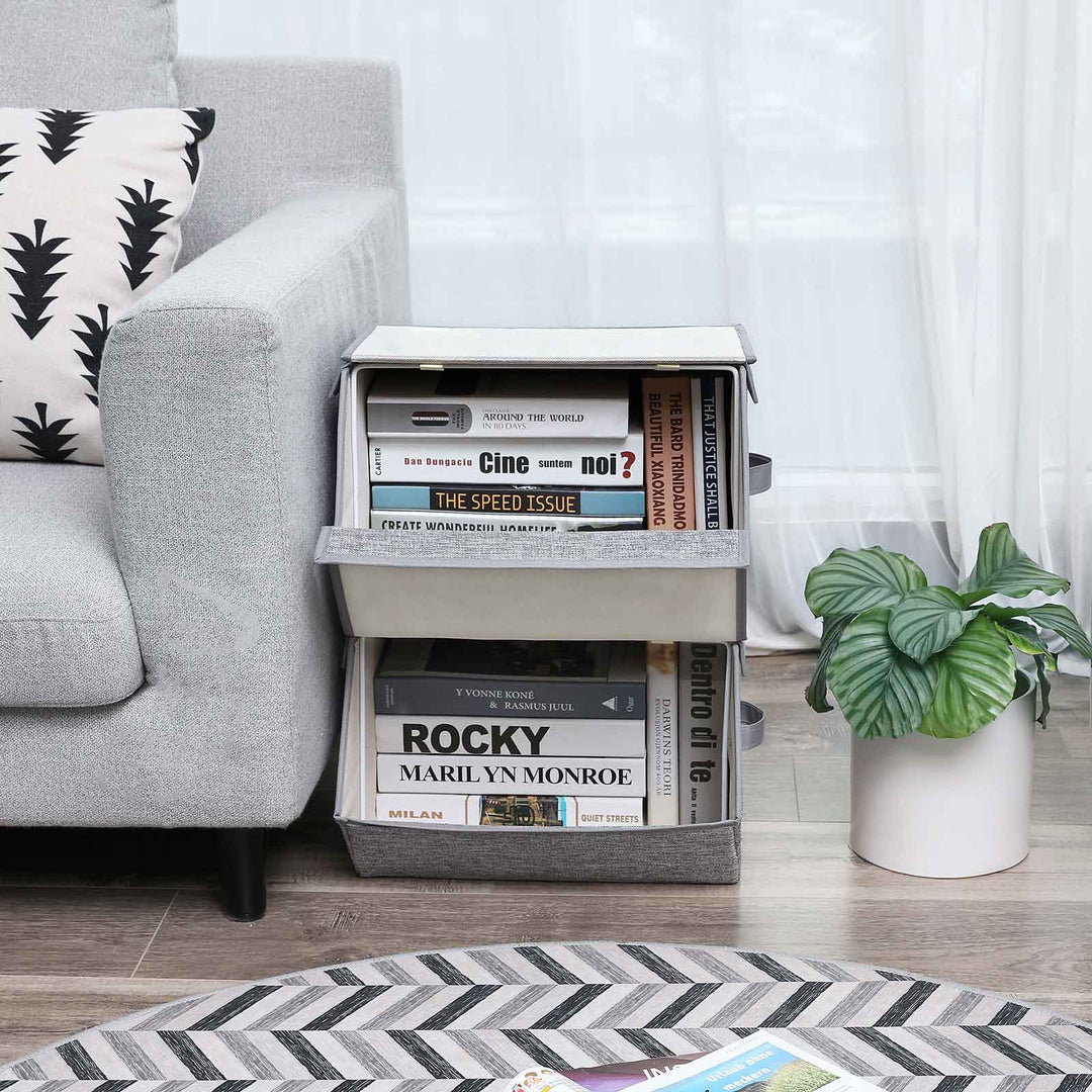 Hinged Lid Storage Boxes