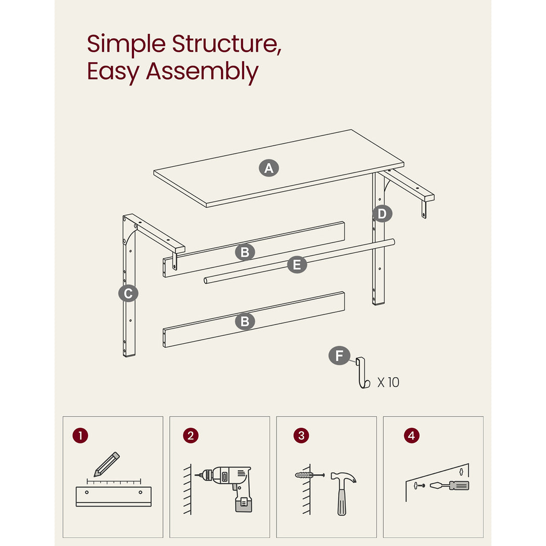 Wall Mounted Coat Rack with 10 Hooks