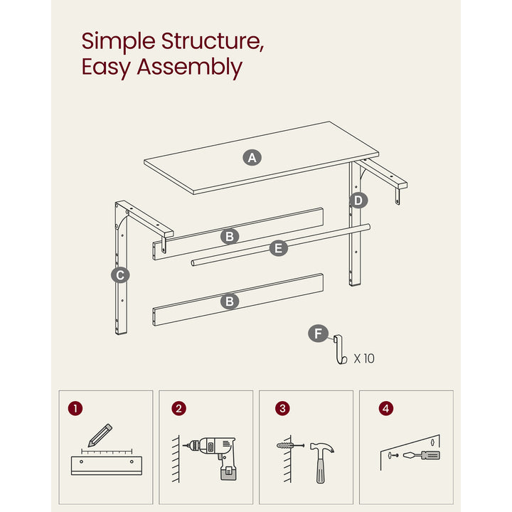 Wall Mounted Coat Rack with 10 Hooks