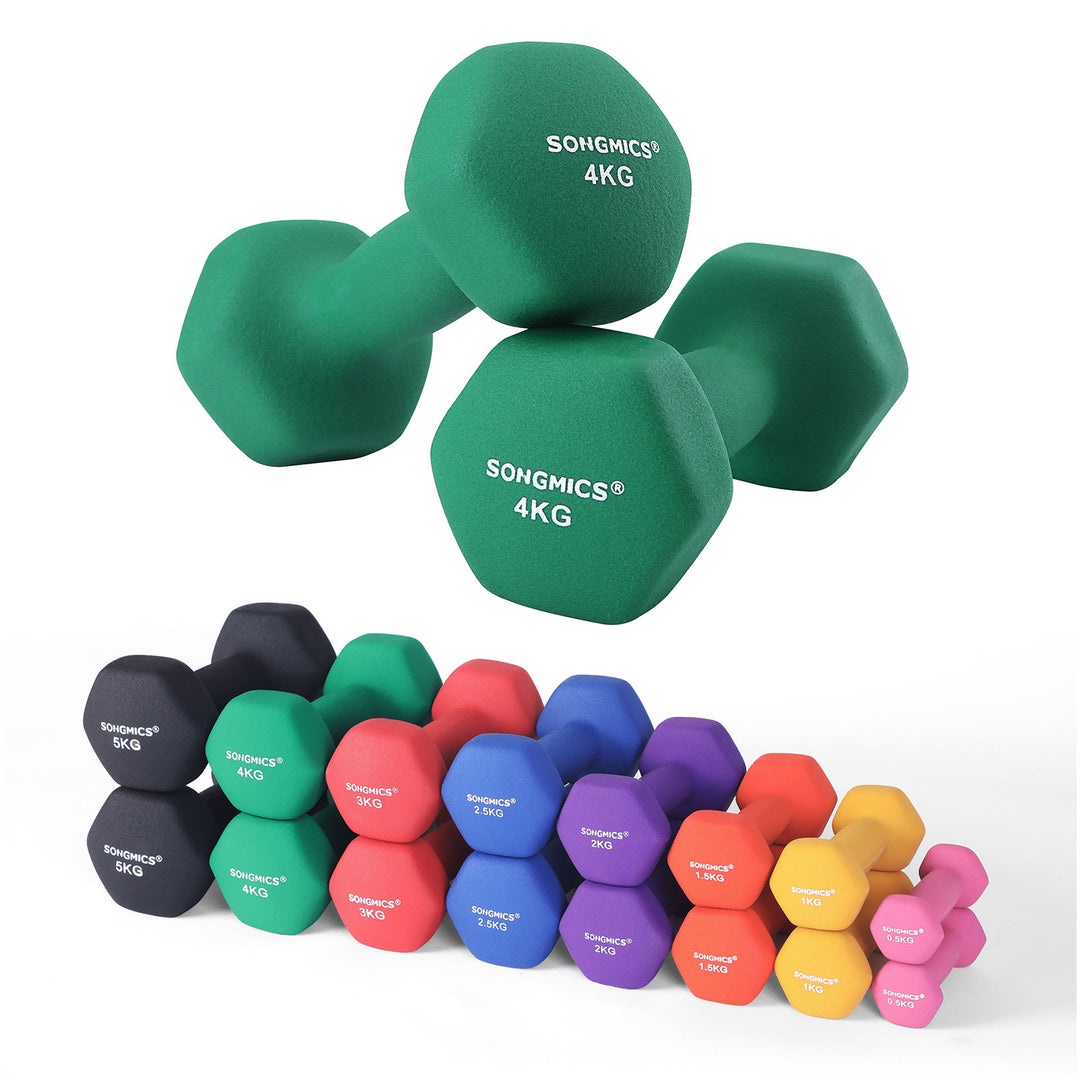 Set of 2 Dumbbells Weights