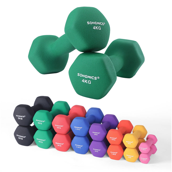 Set of 2 Dumbbells Weights