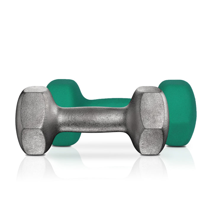 Set of 2 Dumbbells Weights