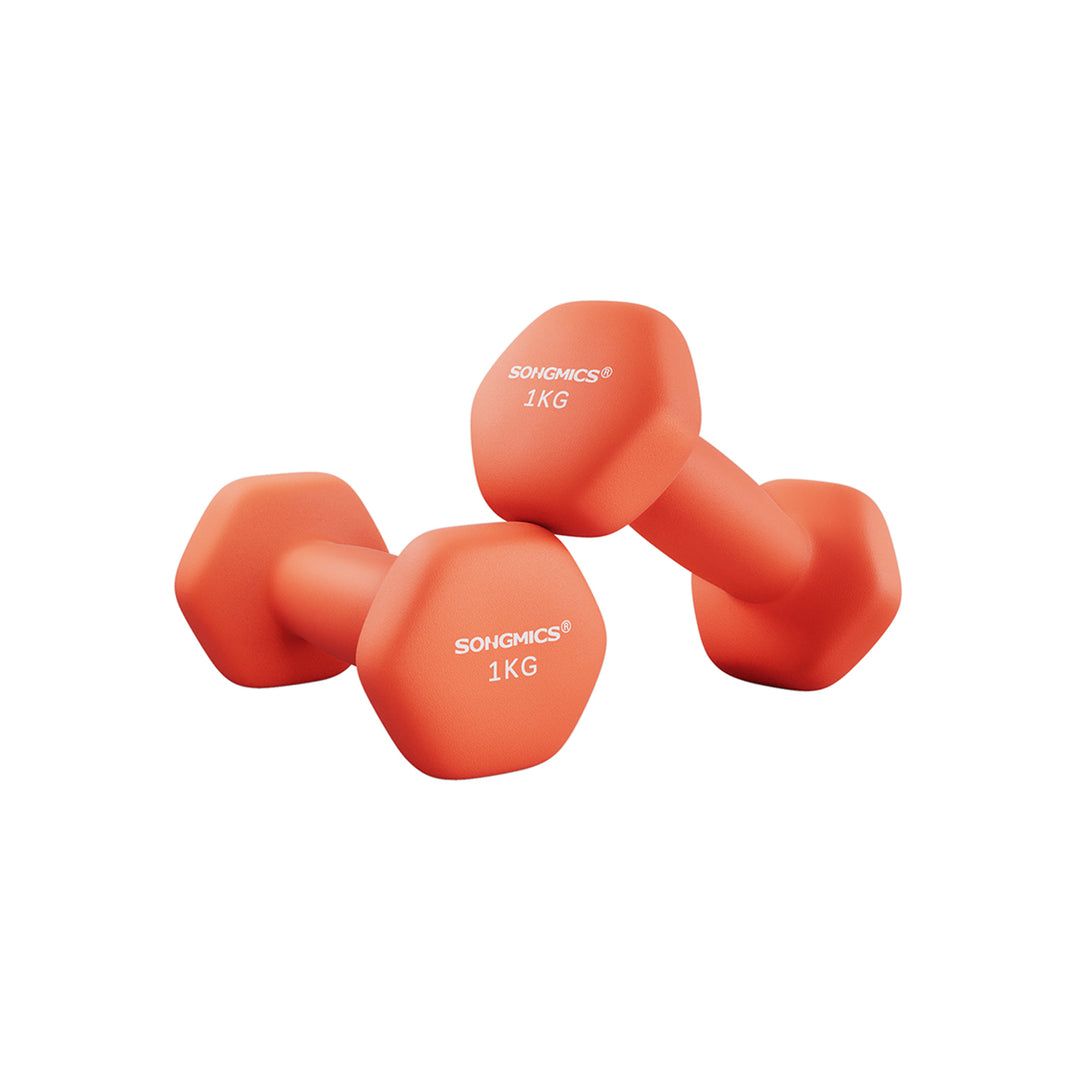 Set of 2 Dumbbells 2 x 1 kg Orange