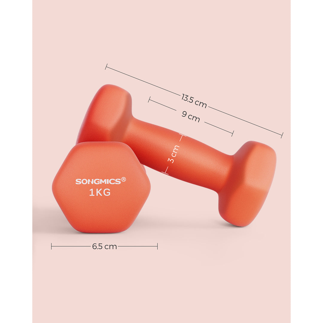 Set of 2 Dumbbells 2 x 1 kg Orange