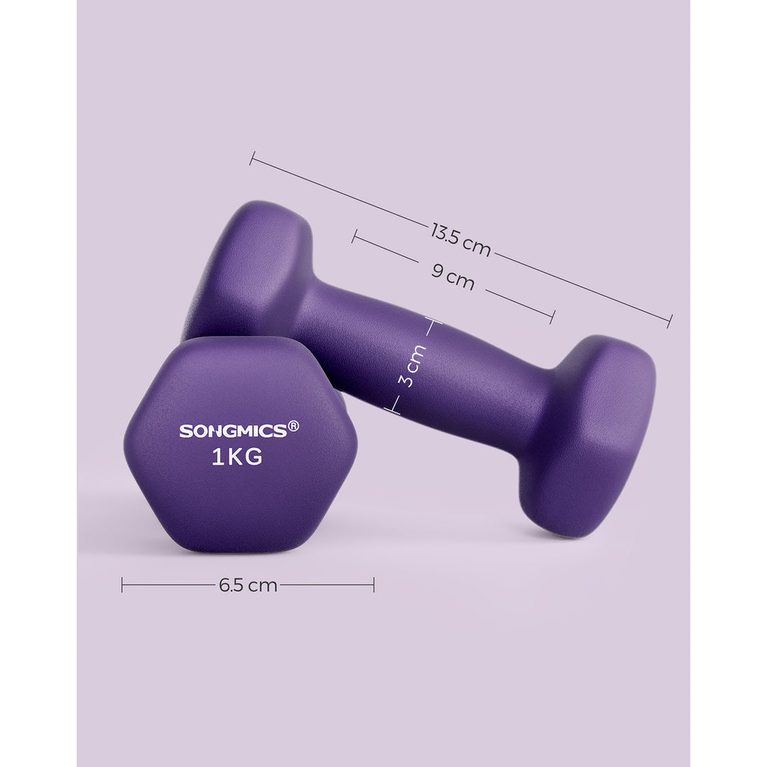 Set of 2 Dumbbells 2 x 1 kg Purple
