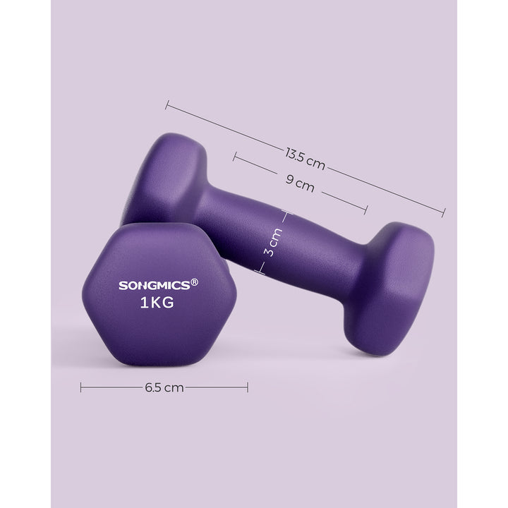 Set of 2 Dumbbells 2 x 1 kg Purple