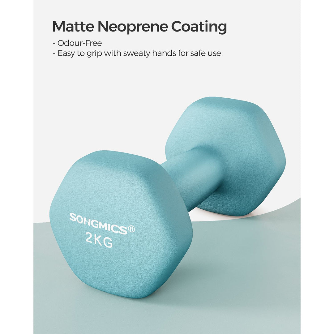 Set of 2 Dumbbells 2 x 2 kg Light Blue