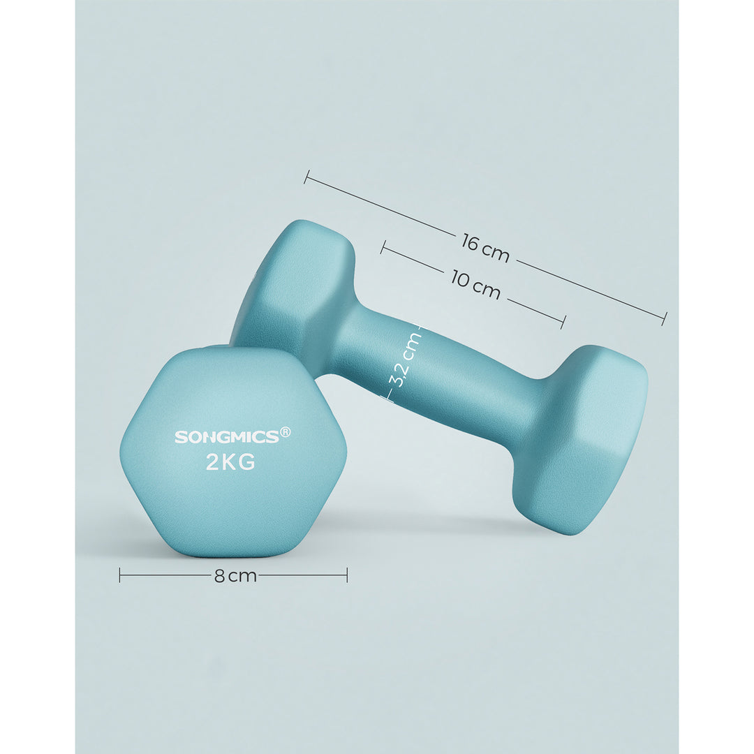 Set of 2 Dumbbells 2 x 2 kg Light Blue