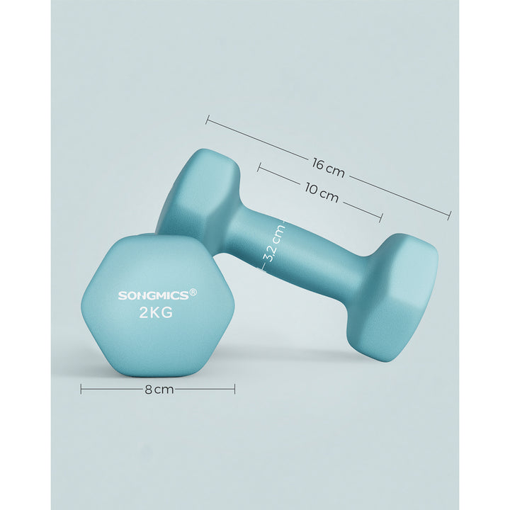 Set of 2 Dumbbells 2 x 2 kg Light Blue