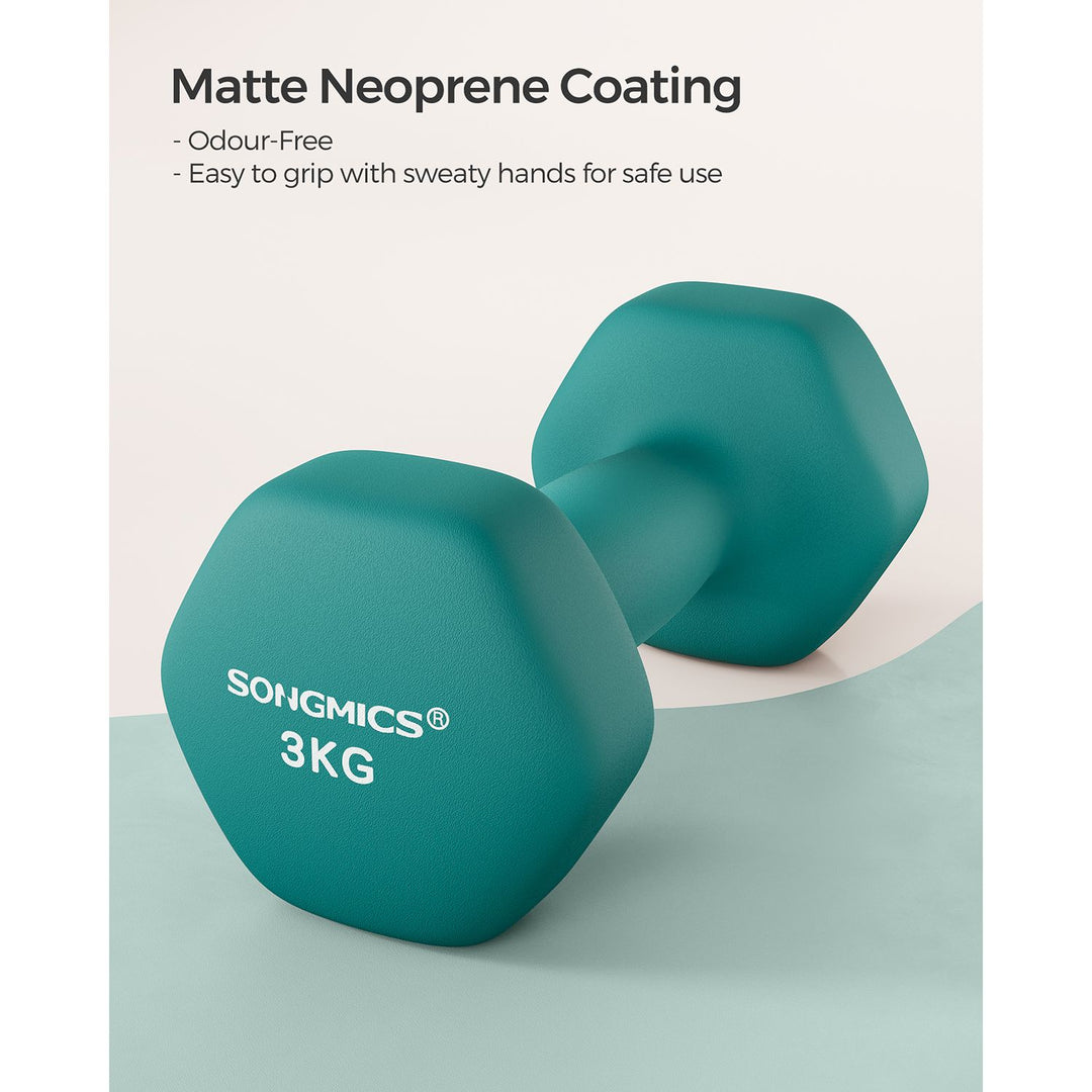 Set of 2 Dumbbells 2 x 3 kg Teal