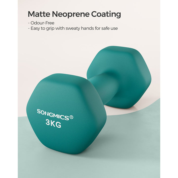 Set of 2 Dumbbells 2 x 3 kg Teal
