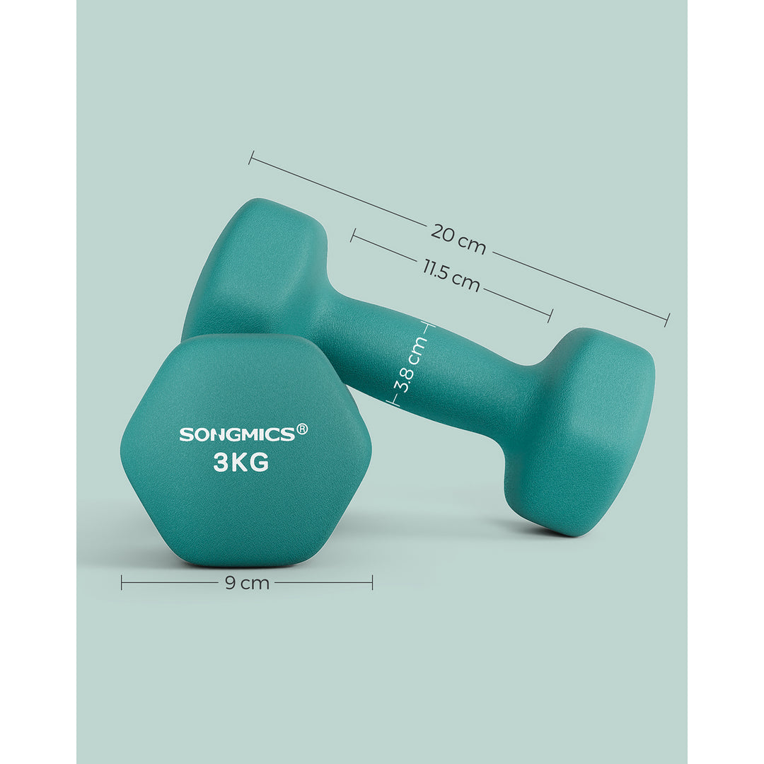 Set of 2 Dumbbells 2 x 3 kg Teal