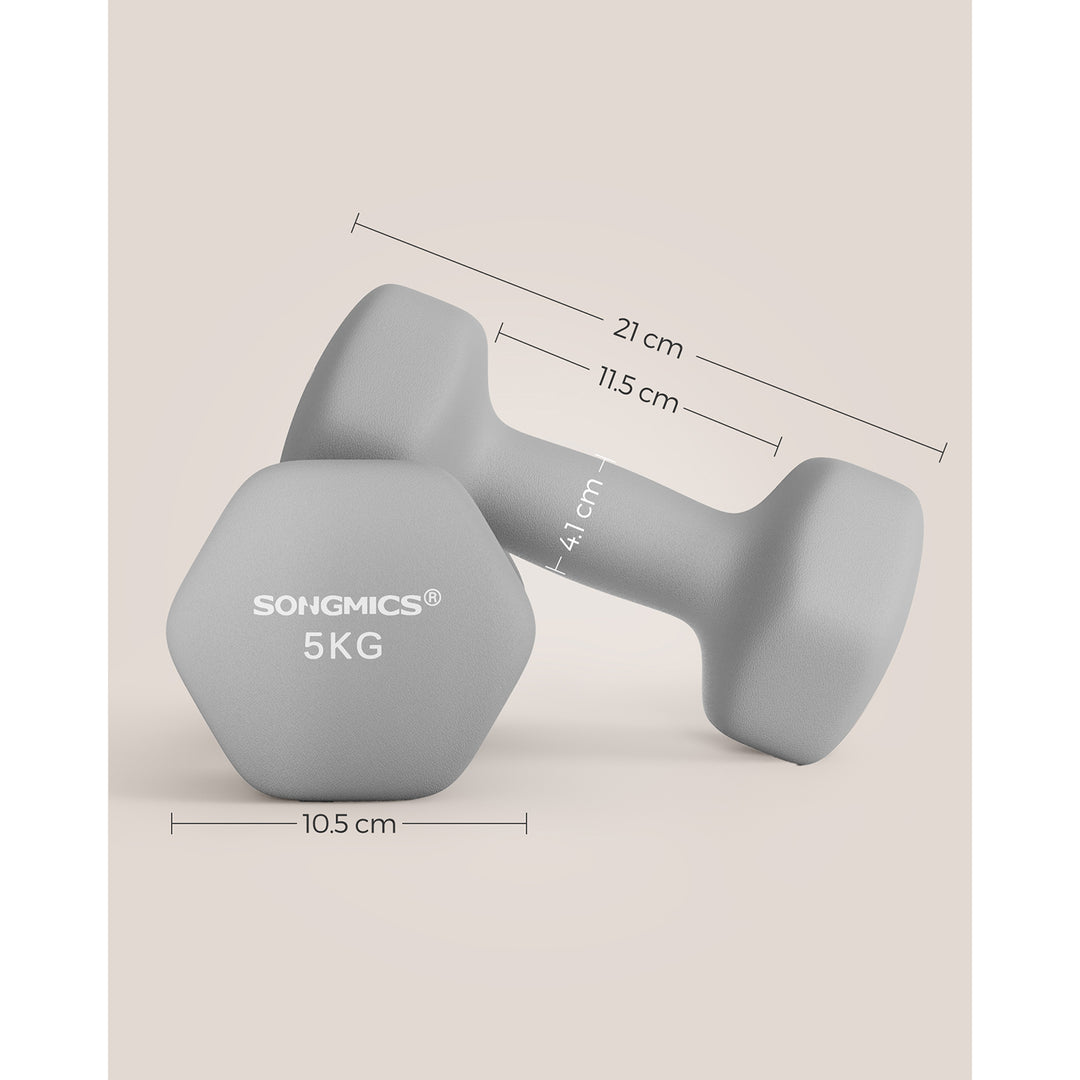 Set of 2 Dumbbells 2 x 5 kg Grey