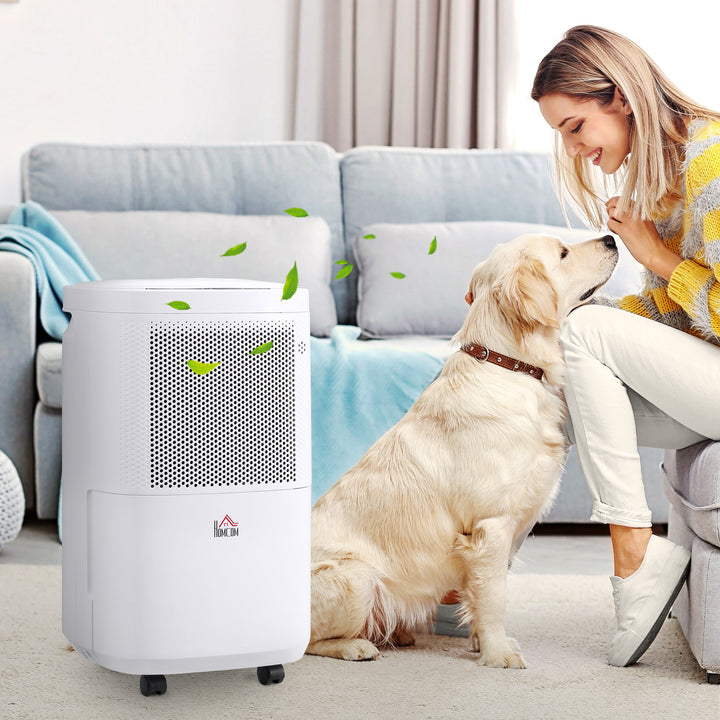 Portable Electric Quiet Dehumidifier with Wi-Fi Smart App Control-White, Black