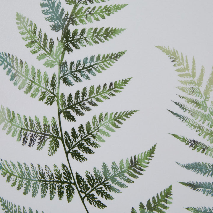 Watercolour Fern Duo In Washed Wood Frame