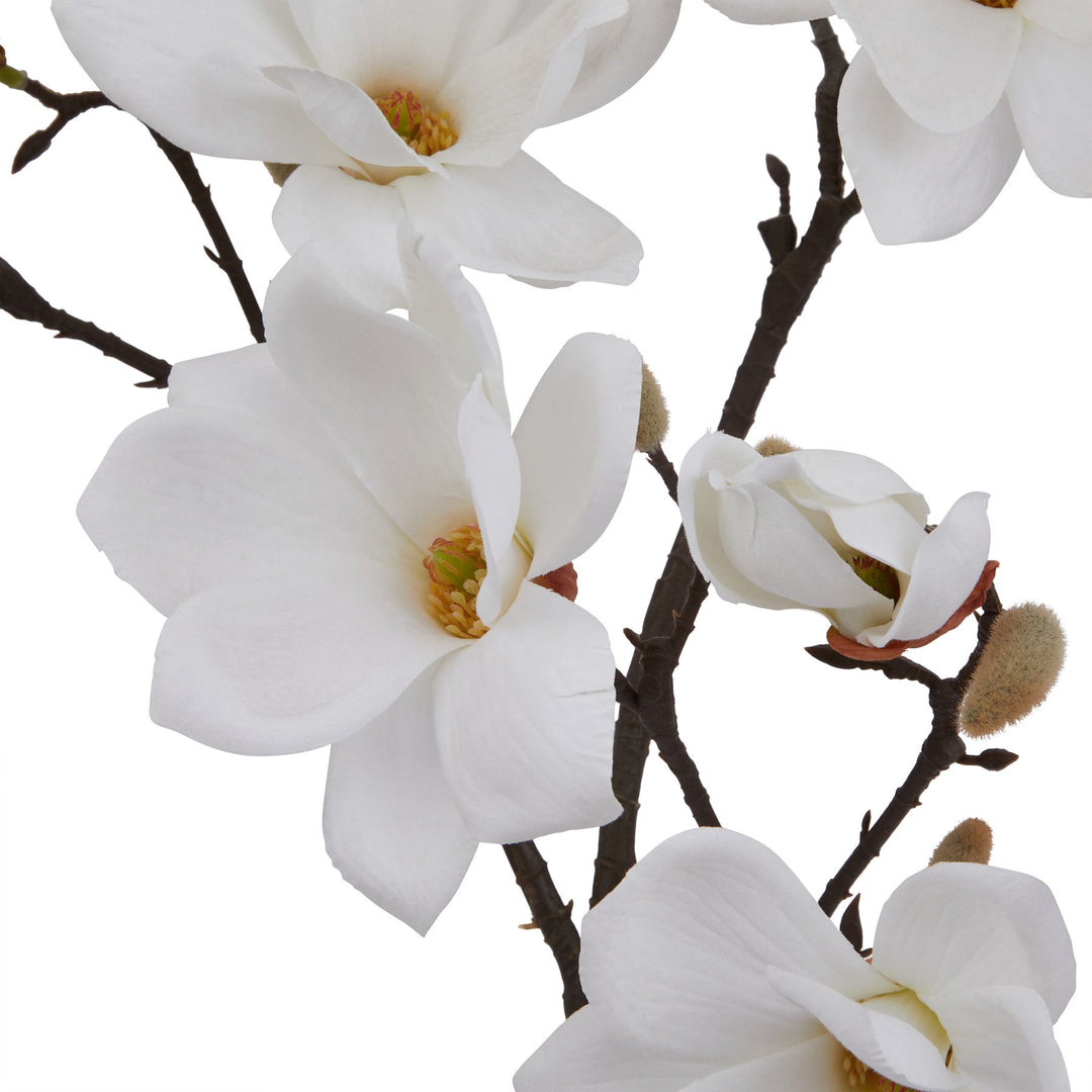 The Natural Garden White Magnolia Stem