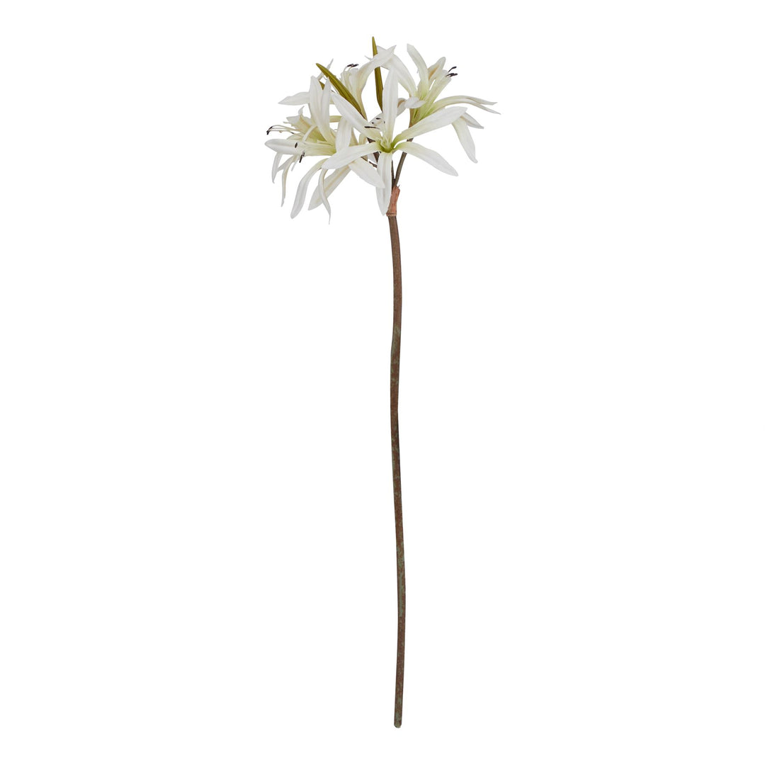 The Natural Garden White Nerine Lily Stem