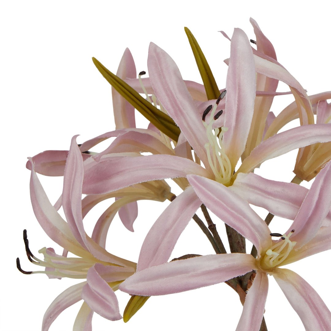 The Natural Garden Pink Lily Stem