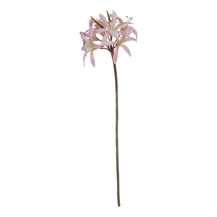 The Natural Garden Pink Lily Stem