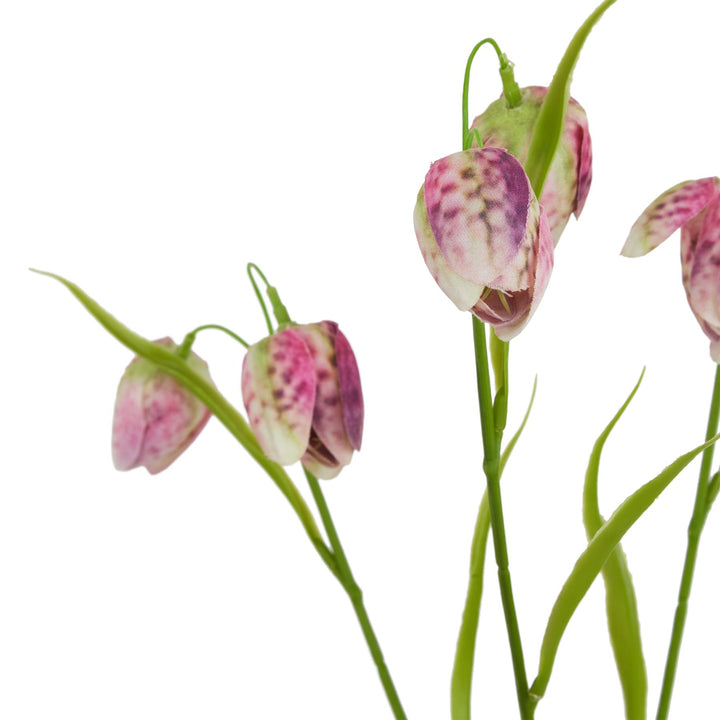 The Natural Garden Purple Fritillaria Stem