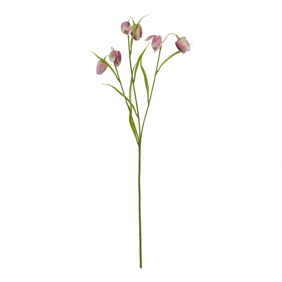 The Natural Garden Purple Fritillaria Stem