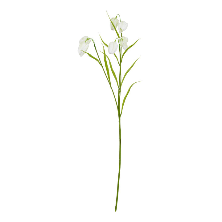 The Natural Garden White Fritillaria Stem