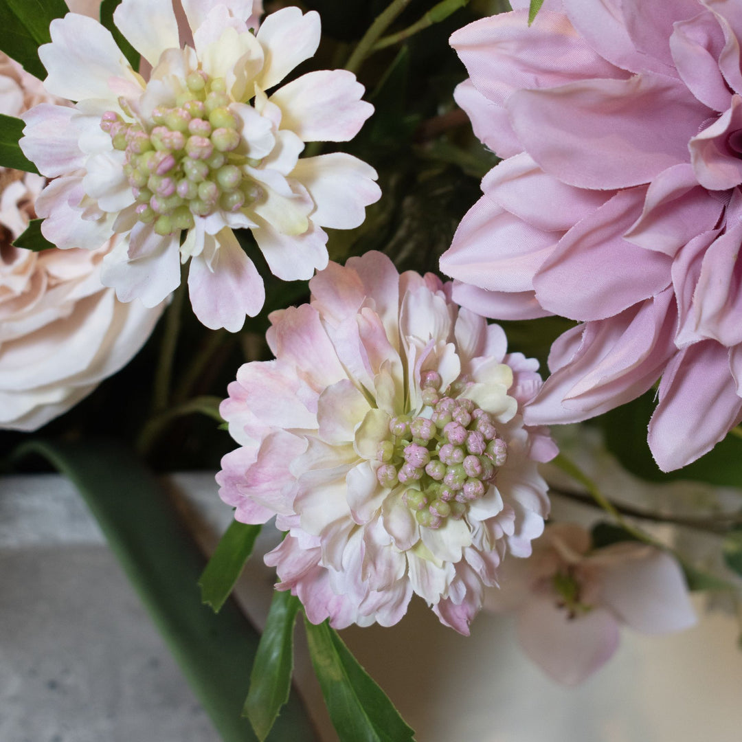 The Natural Garden Pale Pink Scabious Stem