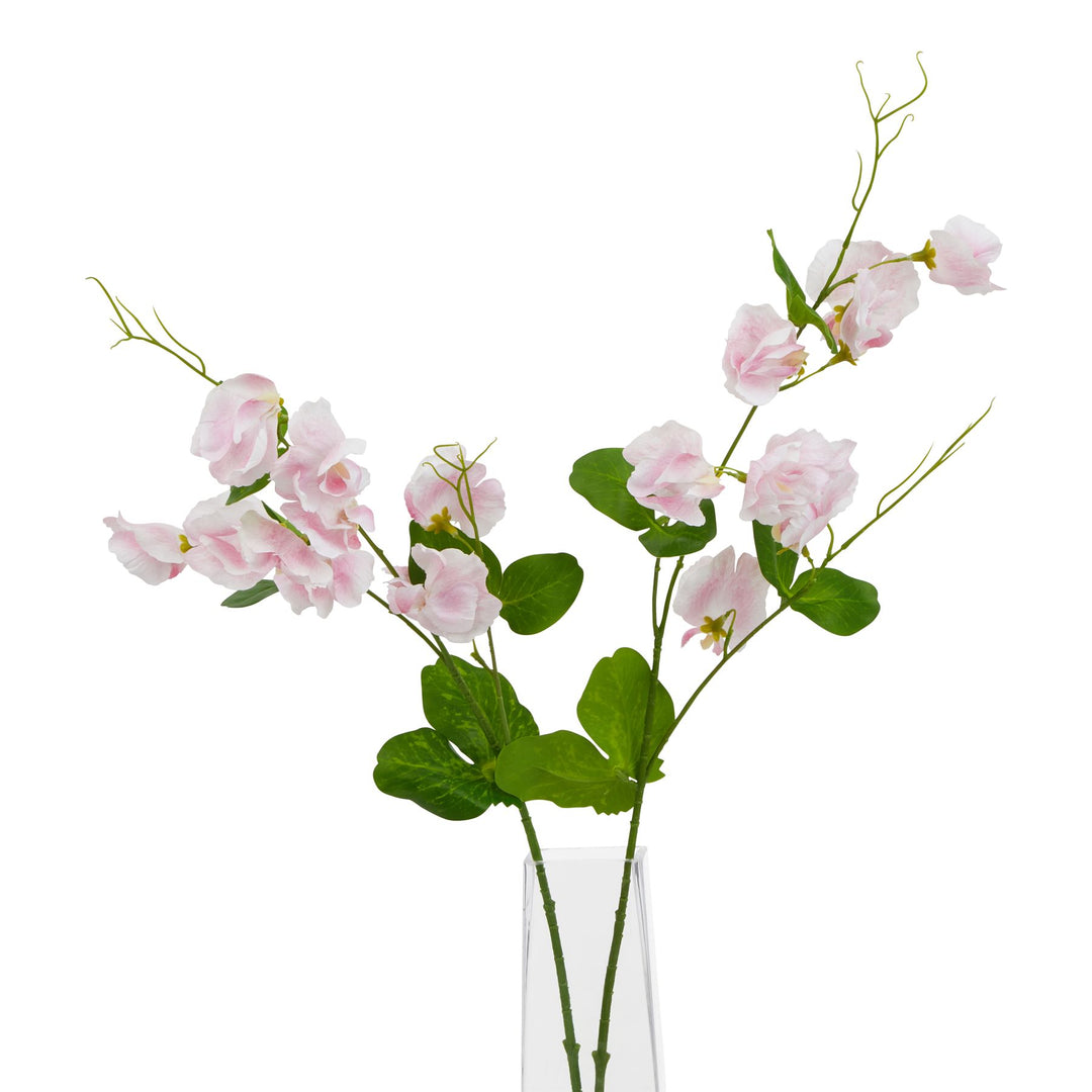 The Natural Garden Pale Pink Sweetpea Stem