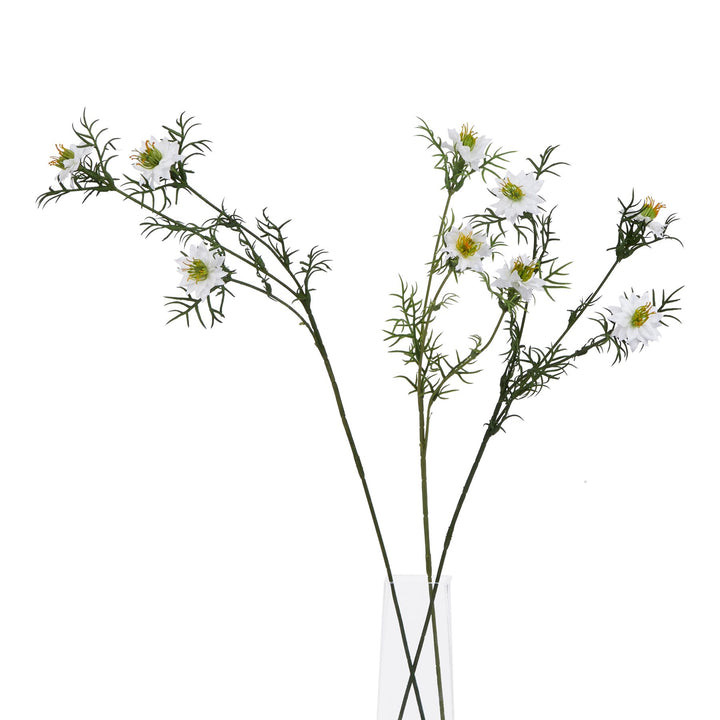 The Natural Garden White Nigella Love In A Mist