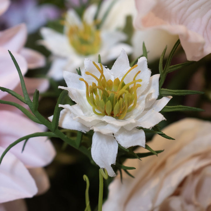 The Natural Garden White Nigella Love In A Mist