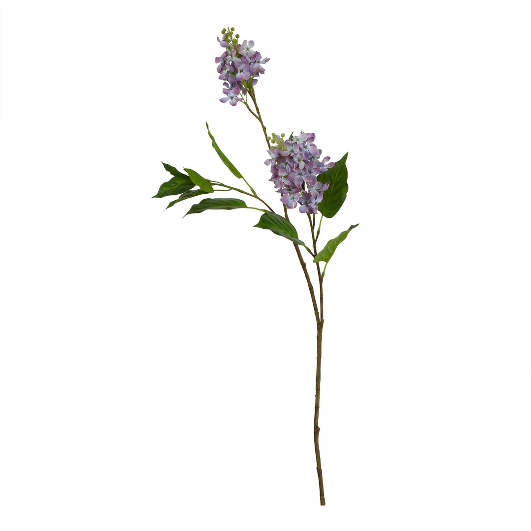 The Natural Garden Purple Lilac Stem