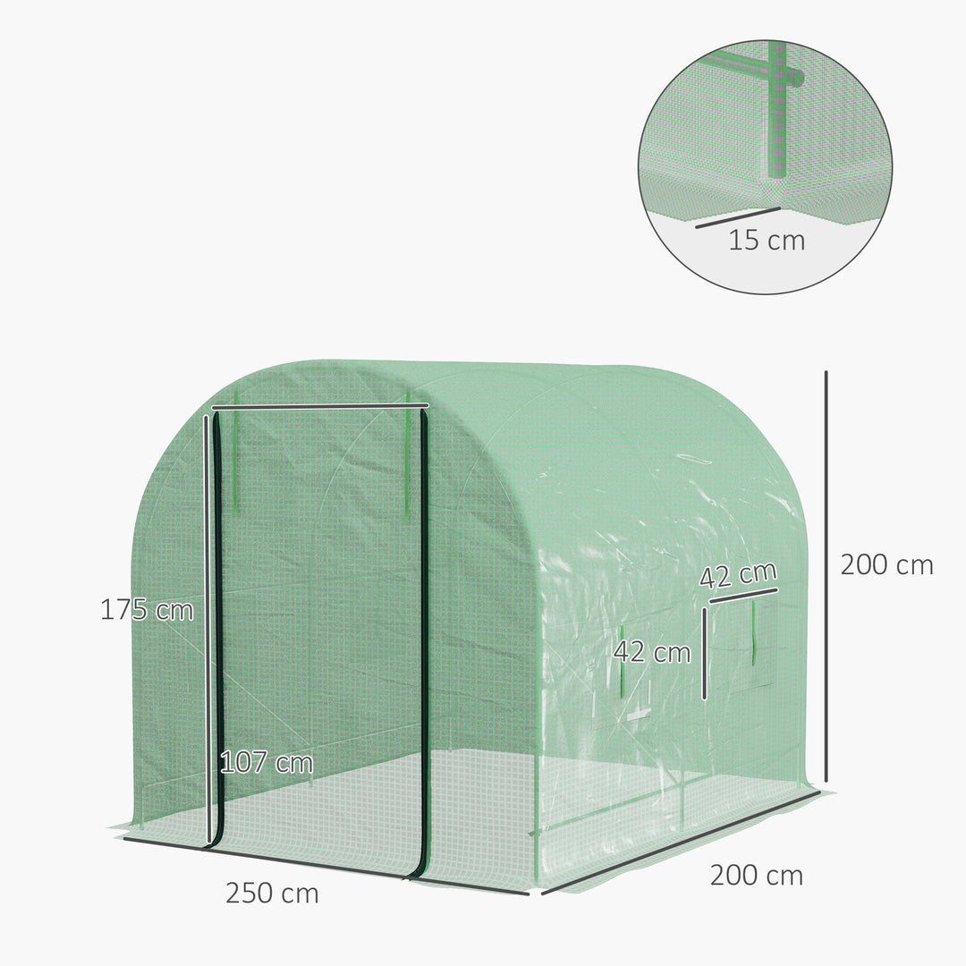 Walk-In Polytunnel Greenhouse, with Steel Frame, Green