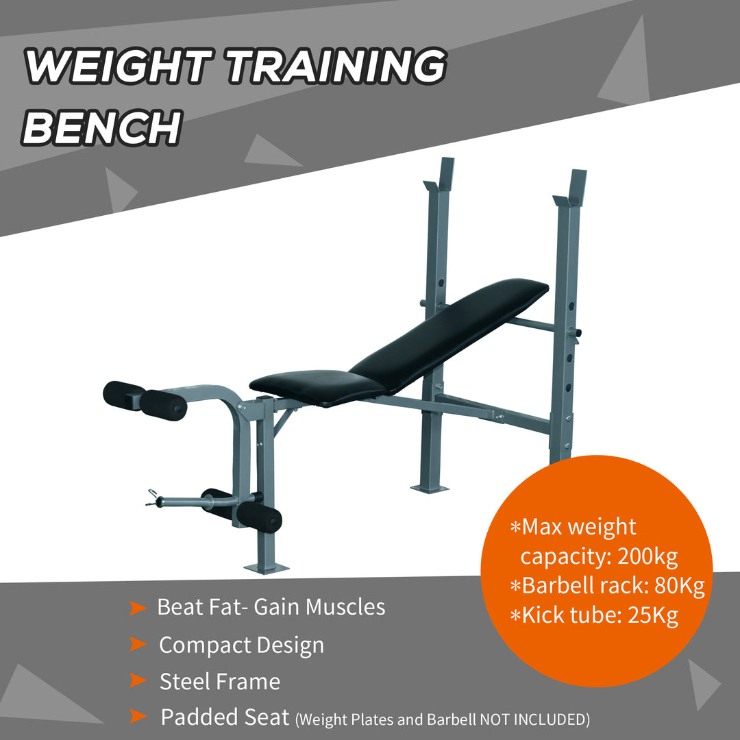 Heavy Duty Adjustable Multi Gym Chest Leg Arm Weight Bench - Black/Silver