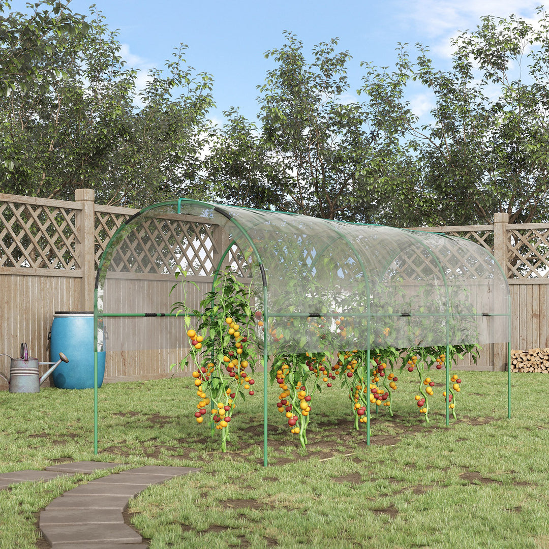 Tunnel Tomato Greenhouse with 4 Hoops and Top Tap, Pointed Bottom and Guy Ropes, Clear