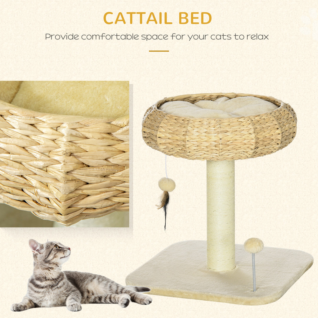 PawHut 51cm Cat Tree, Kitty Activity Center, Cat Climbing Toy, Cat Tower with Cattail Bed Ball Toy Sisal Scratching Post, Beige