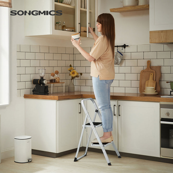 Portable 2 Step Ladder