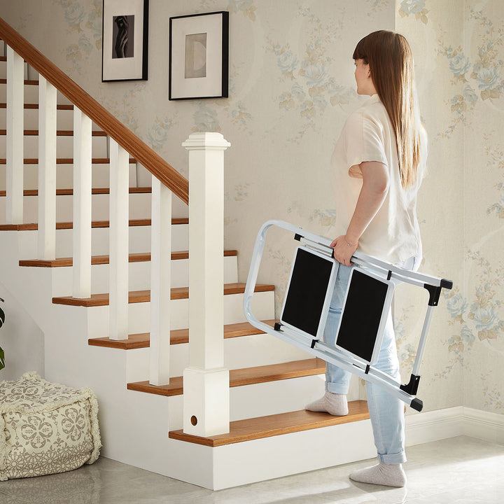 Portable 2 Step Ladder