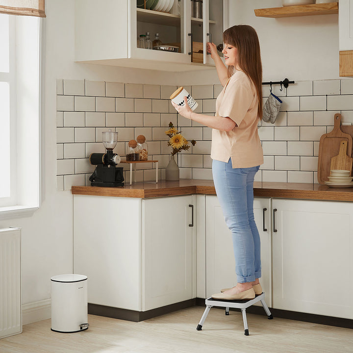 Folding Steps Ladder