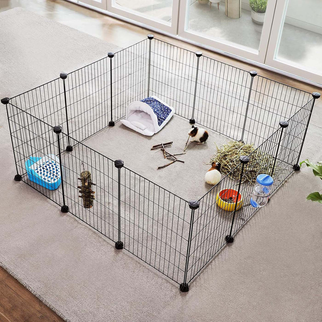 Guinea Pigs Cages
